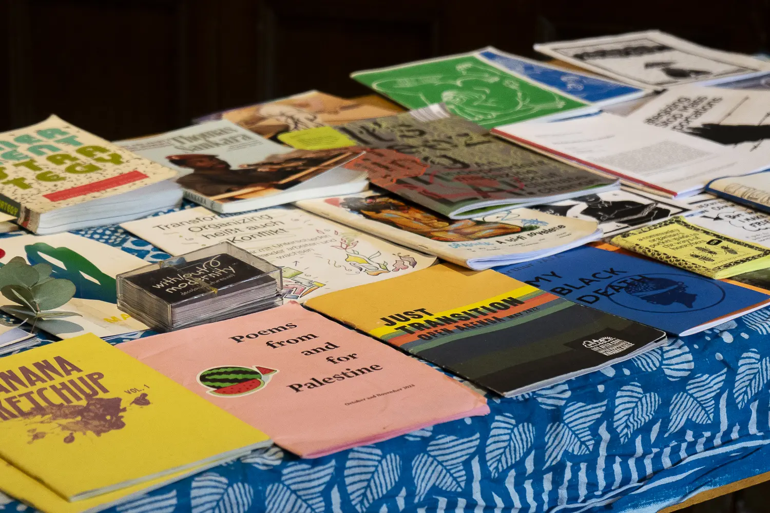 BIPoC Climate Justice Conference 2025 - Others images - RRSS_BipocConference_2025-48